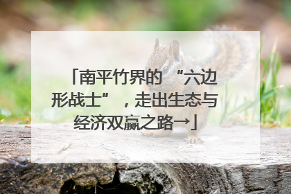 南平竹界的 “六边形战士”，走出生态与经济双赢之路→