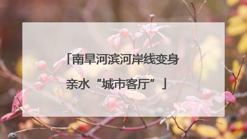 南旱河滨河岸线变身亲水“城市客厅”
