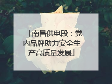 南昌供电段：党内品牌助力安全生产高质量发展