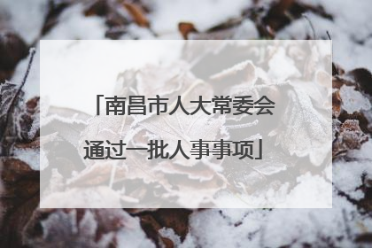 南昌市人大常委会通过一批人事事项