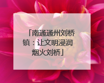 南通通州刘桥镇：让文明浸润烟火刘桥