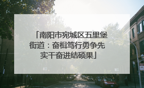 南阳市宛城区五里堡街道：奋楫笃行勇争先 实干奋进结硕果