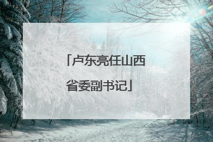 卢东亮任山西省委副书记