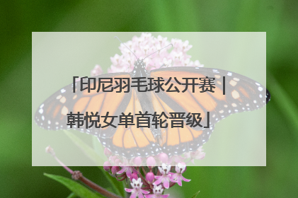 印尼羽毛球公开赛｜韩悦女单首轮晋级