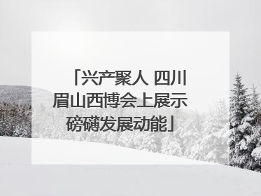 兴产聚人 四川眉山西博会上展示磅礴发展动能