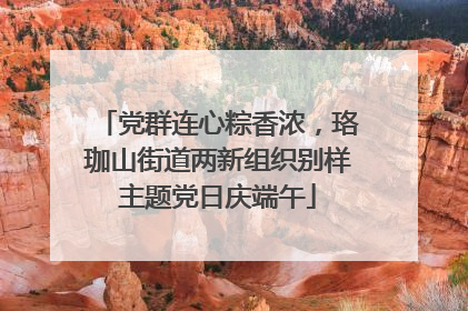 党群连心粽香浓，珞珈山街道两新组织别样主题党日庆端午