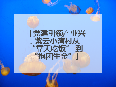 党建引领产业兴，紫云小湾村从 “靠天吃饭” 到 “抱团生金”