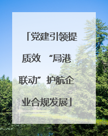 党建引领提质效 “局港联动”护航企业合规发展