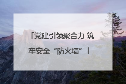 党建引领聚合力 筑牢安全“防火墙”