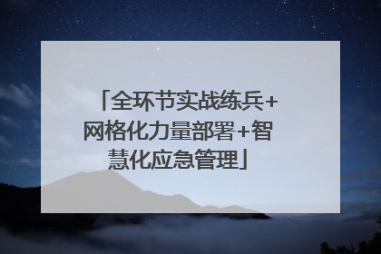 全环节实战练兵+网格化力量部署+智慧化应急管理