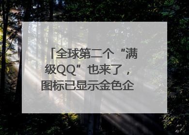 全球第二个“满级QQ”也来了，图标已显示金色企鹅，系首个“满级QQ”的小号