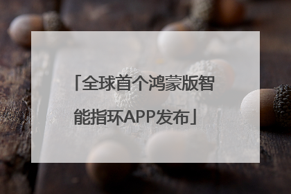 全球首个鸿蒙版智能指环APP发布