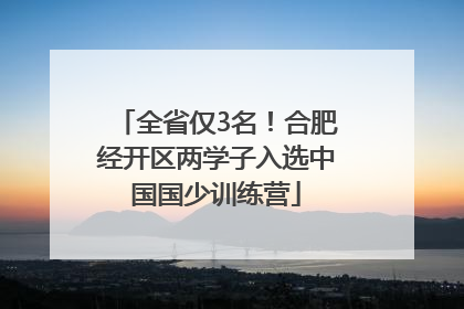全省仅3名！合肥经开区两学子入选中国国少训练营