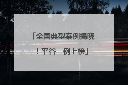 全国典型案例揭晓！平谷一例上榜