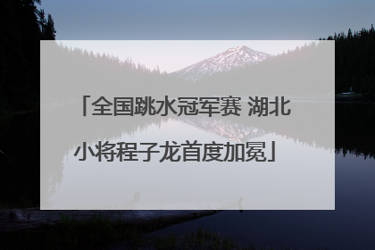 全国跳水冠军赛 湖北小将程子龙首度加冕