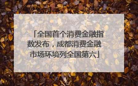 全国首个消费金融指数发布，成都消费金融市场环境列全国第六
