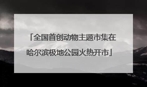 全国首创动物主题市集在哈尔滨极地公园火热开市