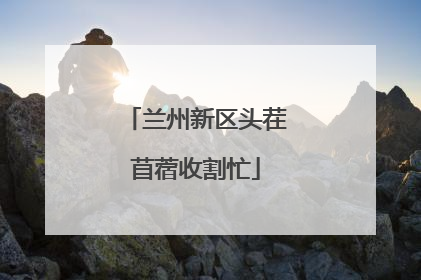 兰州新区头茬苜蓿收割忙