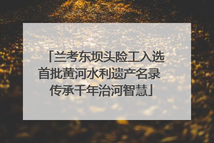 兰考东坝头险工入选首批黄河水利遗产名录 传承千年治河智慧