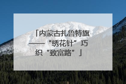 内蒙古扎鲁特旗——“绣花针”巧织“致富路”