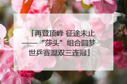 再登顶峰 征途未止——“莎头”组合圆梦世乒赛混双三连冠