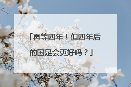 再等四年！但四年后的国足会更好吗？