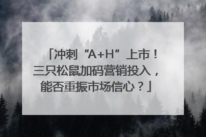 冲刺“A+H”上市！三只松鼠加码营销投入，能否重振市场信心？