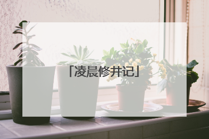 凌晨修井记