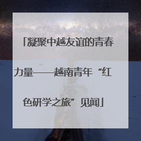 凝聚中越友谊的青春力量——越南青年“红色研学之旅”见闻