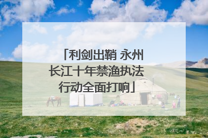 利剑出鞘 永州长江十年禁渔执法行动全面打响