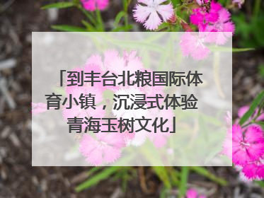 到丰台北粮国际体育小镇，沉浸式体验青海玉树文化