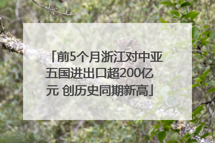 前5个月浙江对中亚五国进出口超200亿元 创历史同期新高