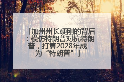 加州州长硬刚的背后：模仿特朗普对抗特朗普，打算2028年成为“特朗普”