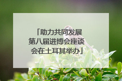 助力共同发展 第八届进博会座谈会在土耳其举办