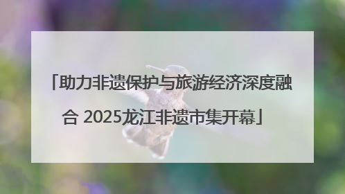助力非遗保护与旅游经济深度融合 2025龙江非遗市集开幕