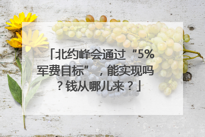 北约峰会通过“5%军费目标”，能实现吗？钱从哪儿来？