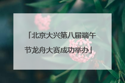 北京大兴第八届端午节龙舟大赛成功举办