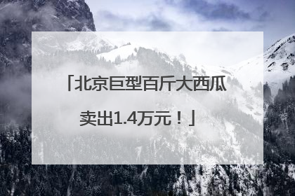 北京巨型百斤大西瓜卖出1.4万元！