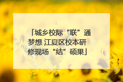城乡校际“联”通梦想 江夏区校本研修现场“结”硕果