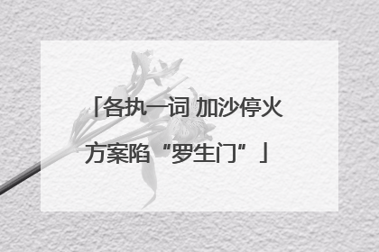 各执一词 加沙停火方案陷“罗生门”