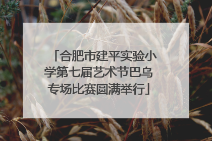 合肥市建平实验小学第七届艺术节巴乌专场比赛圆满举行