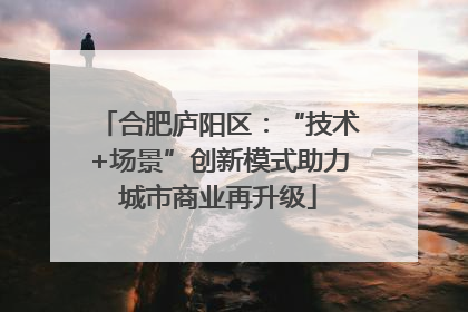 合肥庐阳区：“技术+场景”创新模式助力城市商业再升级