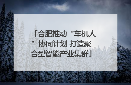 合肥推动“车机人”协同计划 打造聚合型智能产业集群