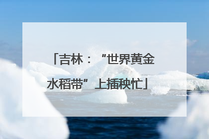 吉林：“世界黄金水稻带”上插秧忙