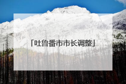 吐鲁番市市长调整