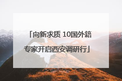 向新求质 10国外籍专家开启西安调研行