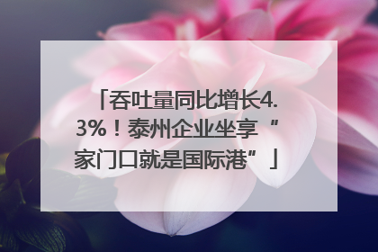 吞吐量同比增长4.3%！泰州企业坐享“家门口就是国际港”