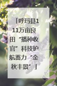 呼玛县111万亩良田“播种收官”科技护航蓄力“金秋丰景”