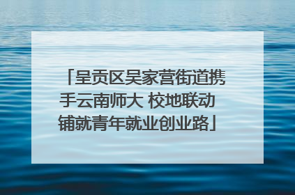 呈贡区吴家营街道携手云南师大 校地联动铺就青年就业创业路