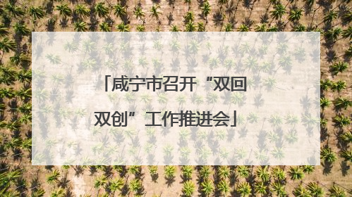 咸宁市召开“双回双创”工作推进会